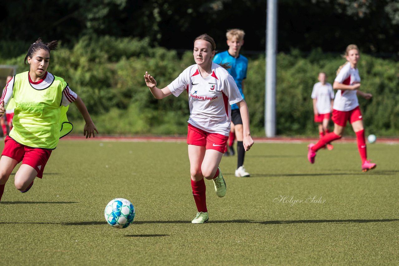 Bild 139 - wCJ Walddoerfer - Concordia : Ergebnis: 0:1